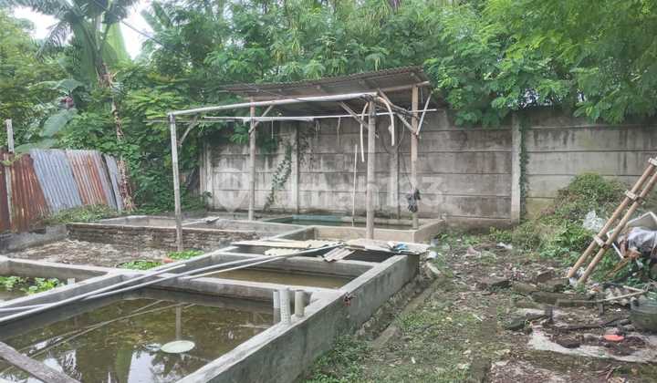 di Jual Lahan Tanah Luas 420 m² di Kedaung Baru Dekat Bandara 4