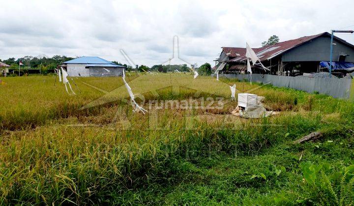 Alfa Property Tanah Ahmad Yani Kota Pontianak 4