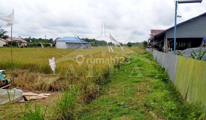 Alfa Property Tanah Ahmad Yani Kota Pontianak 5