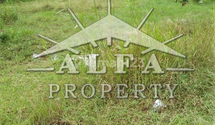 Alfa Property Tanah Mempawah Kota Pontianak 2