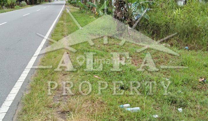Alfa Property Tanah Mempawah Kota Pontianak 3