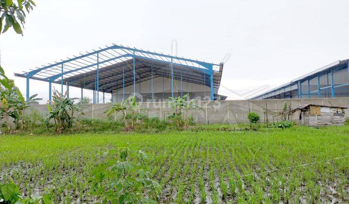 Alfa Property Tanah Sungai Raya Dalam Kota Pontianak 2
