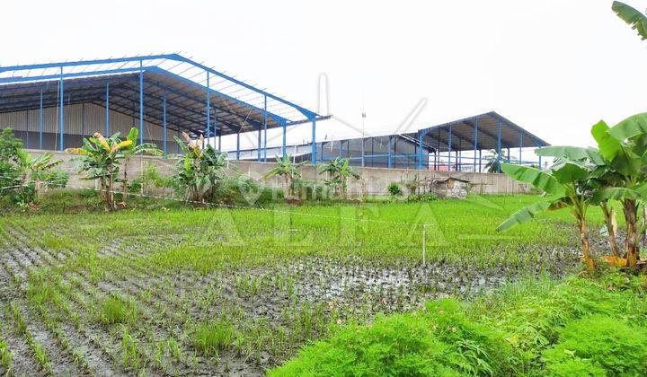 Alfa Property Tanah Sungai Raya Dalam Kota Pontianak 4