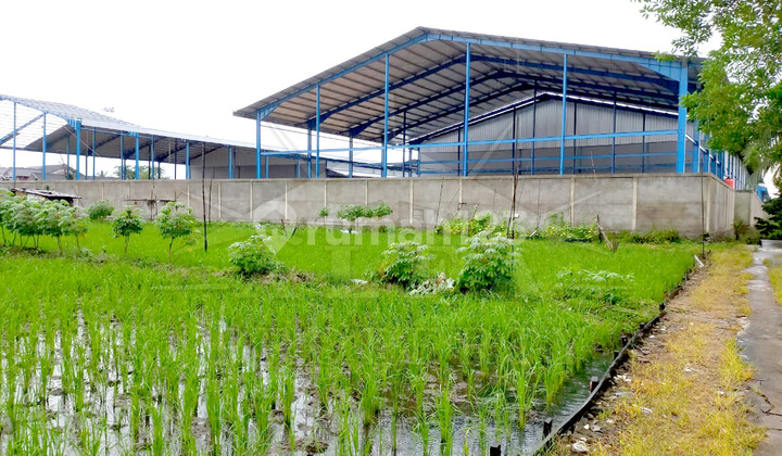 Alfa Property Tanah Sungai Raya Dalam Kota Pontianak 6