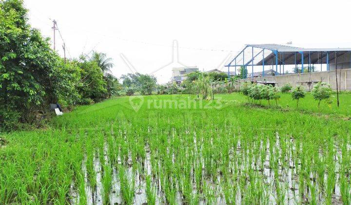 Alfa Property Tanah Sungai Raya Dalam Kota Pontianak 7