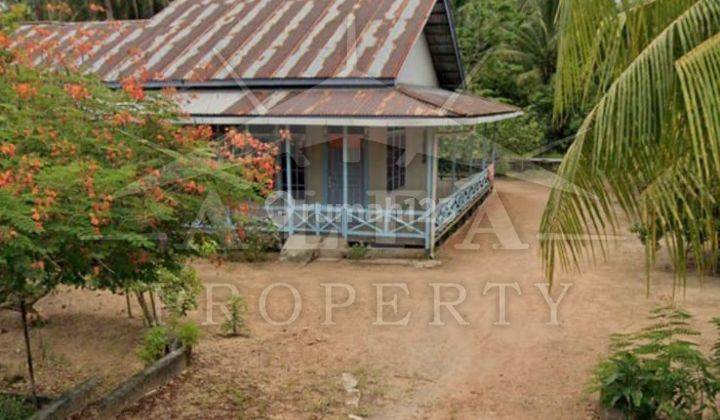 Alfa Property Tanah Mempawah Kota Pontianak 10