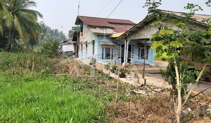 Alfa Property Tanah Pal 9 Raya Kakap Kota Pontianak 3