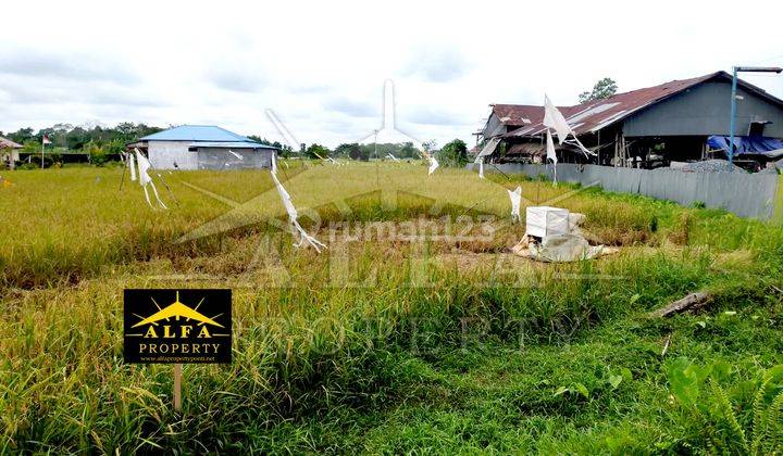 Alfa Property Tanah Ahmad Yani 2 Kota Pontianak 2