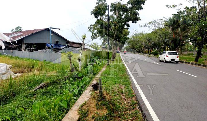 Alfa Property Tanah Ahmad Yani 2 Kota Pontianak 4