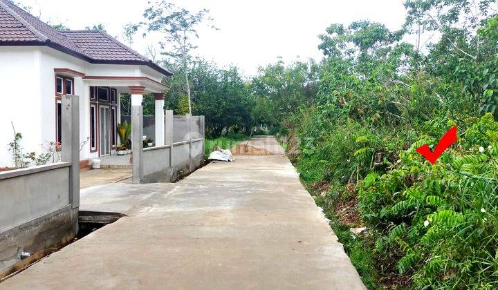 Alfa Property Tanah Ringin Sari Kota Pontianak 1