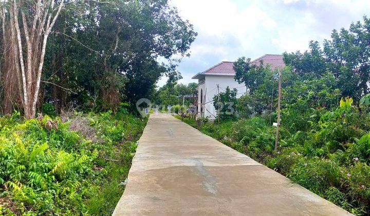 Alfa Property Tanah Ringin Sari Kota Pontianak 2