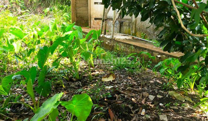 Alfa Property Tanah Ringin Sari Kota Pontianak 4