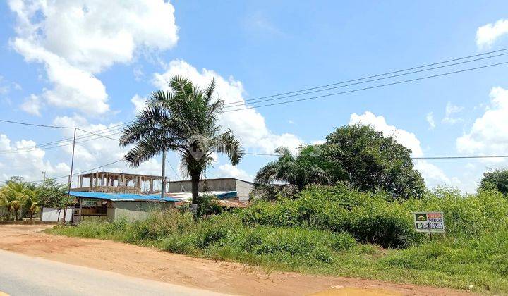 Alfa Property Tanah Trans Kalimantan Ambawang Km 43 Kota Pontianak 2