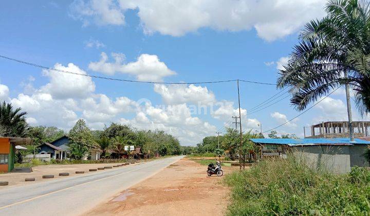 Alfa Property Tanah Trans Kalimantan Ambawang Km 43 Kota Pontianak 4