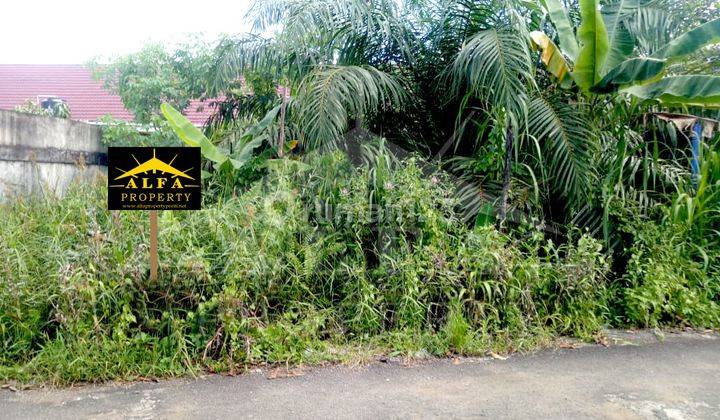 Alfa Property Tanah Karya Baru 7 Kota Pontianak 1