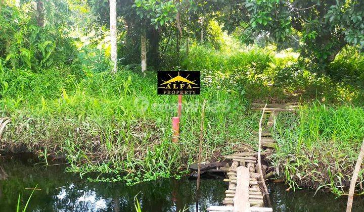 Tanah Hargabawahpasaran Luas 25926 M2 Batu Layang Pontianak Kota 2