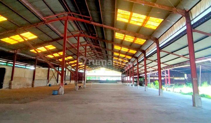 Jual Cepat Tanah Lokasi Khatulistiwa Siantan Pontianak Utara 1