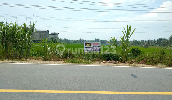 Land for Sale at Low Price, Beside Sungai Bakau Besar Main Road, Pontianak Land for Sale at Low Price, Beside Sungai Bakau Besar Main Road, Pontianak