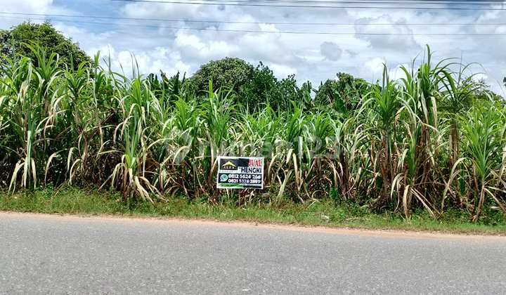 Jual Tanah SHM Siap Bangun Ruko Perumahan Jual Tanah SHM Siap Bangun Ruko Perumahan