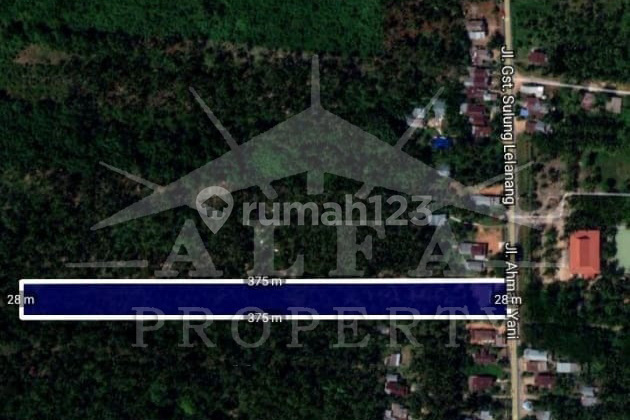 Jual Murah Tanah Hamparan Bonus Kebun Siap Panen Jual Murah Tanah Hamparan Bonus Kebun Siap Panen