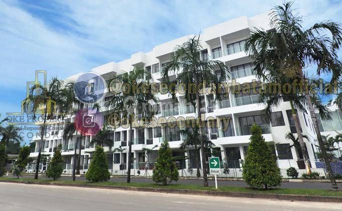Jual Apartment Type One Bedroom Full Furnished Bayerina 3
