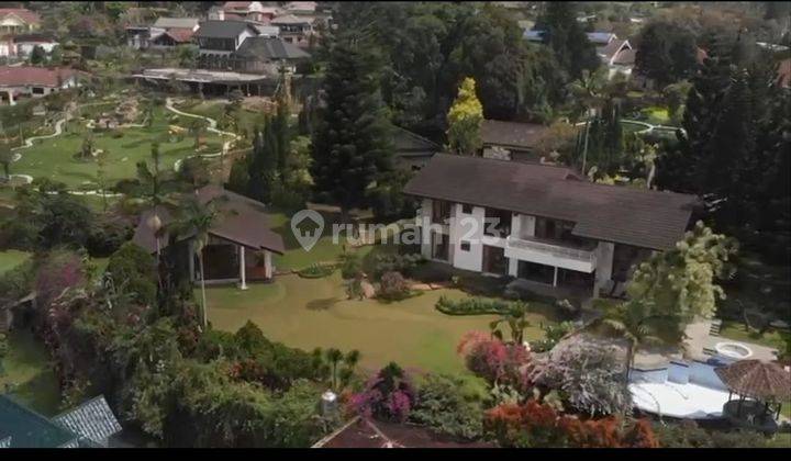 For Sale Luxury Villa Coolibah Puncak Bogor 2