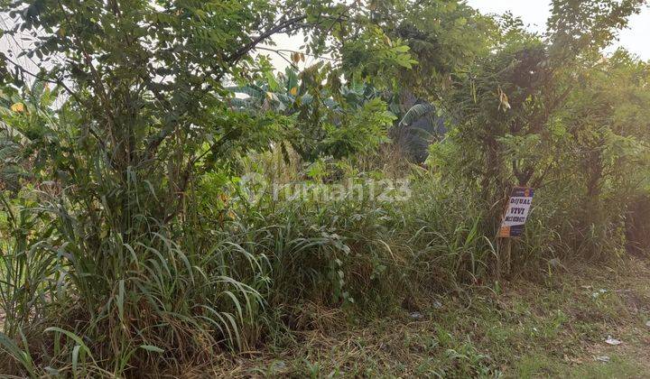 Dijual Tanah Komersial di Gunung Sindur, Bogor 1