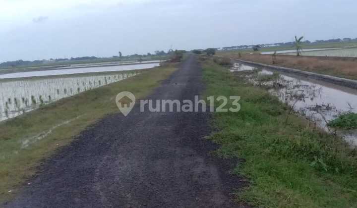 Tanah Kawasan Ekonomi Khusus di Patimban Subang Jawa Barat