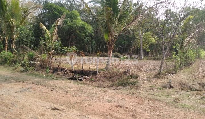 Di Jual Cepat Murah Tanah Industri Kav. Mabes Margasari Tigaraksa