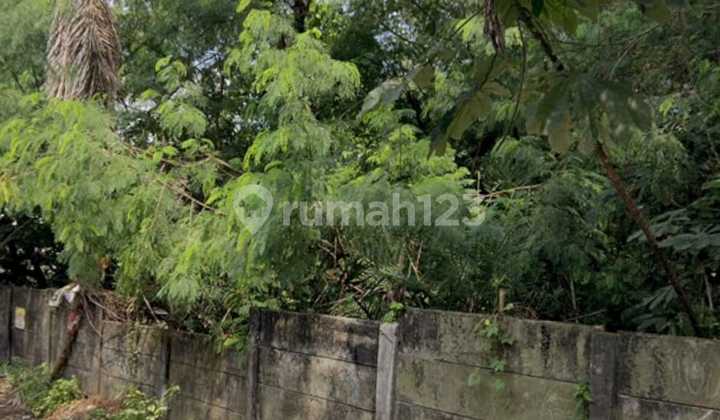 Commercial Land in Sunburst BSD