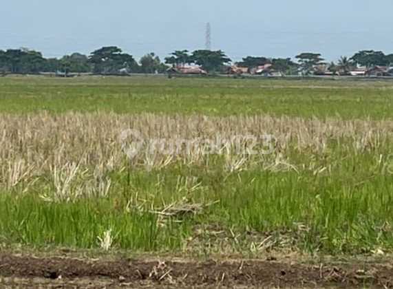 Special Economic Zone Land in Patimban Subang West Java Special Economic Zone Land in Patimban Subang West Java