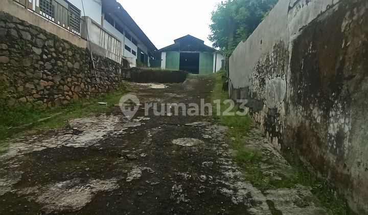 Warehouse for Rent 2