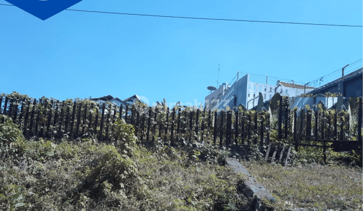 Tanah di Merapi Semarang 1