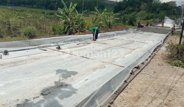 Tanah Kedungpane Ngaliyan 2