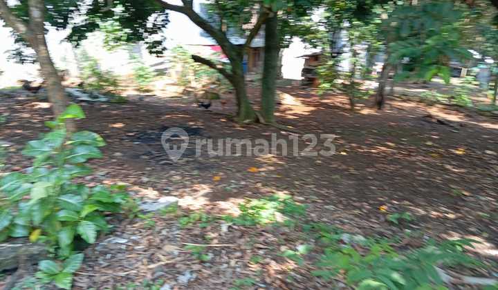 for sale tanah siap bangun lokasi strategis bukit palma  2