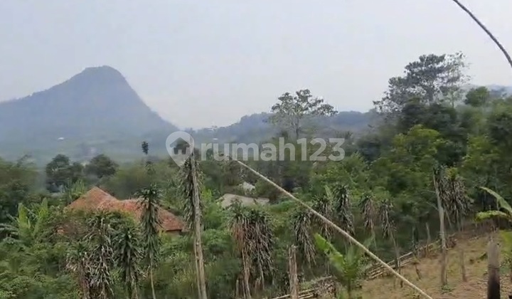 Dijual Tanah Di Sukamakmur Bogor 38ha