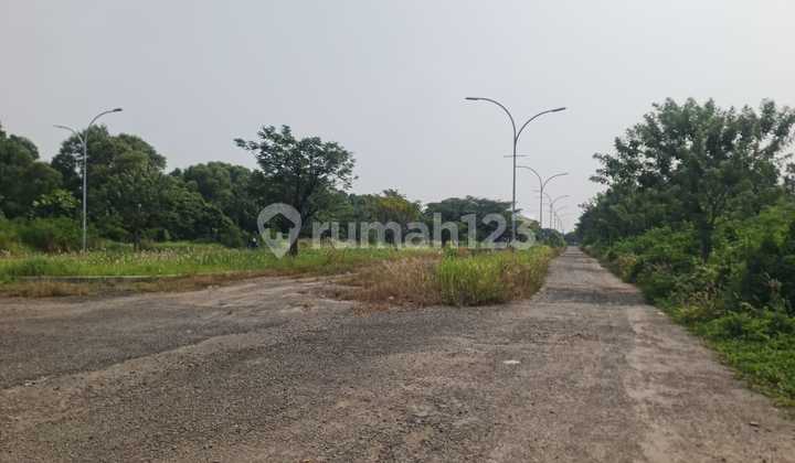 For Rent 2ha Plot in Cakung For Rent 2ha Plot in Cakung