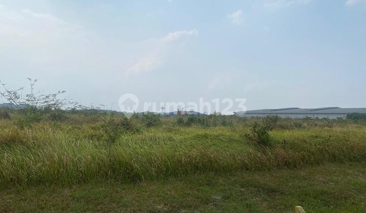 Industrial Plot For Sale In East Kawarang 2.5ha