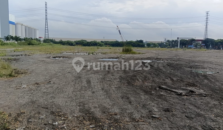 Sewakan Tanah Kavling Marunda Sewakan Tanah Kavling Marunda
