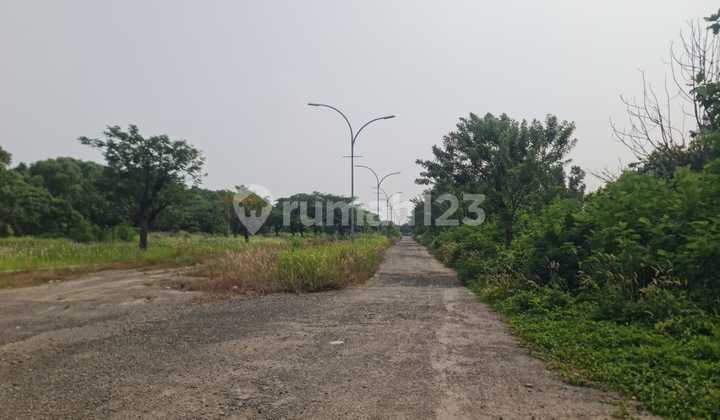 For Rent 2ha Plot in Cakung For Rent 2ha Plot in Cakung