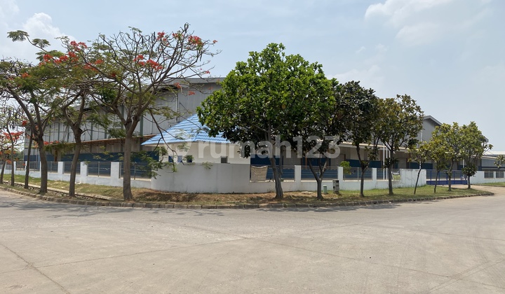 For Rent Marunda Warehouse 8000m2 8300.0 m²