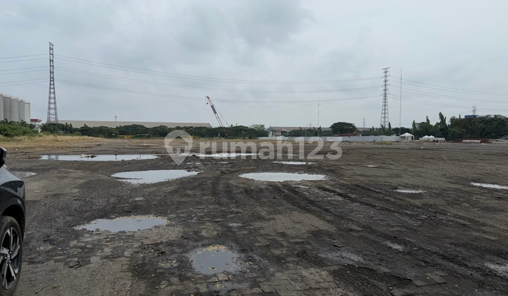 Sewakan Tanah Marunda 2,5Ha Sewakan Tanah Marunda 2,5Ha