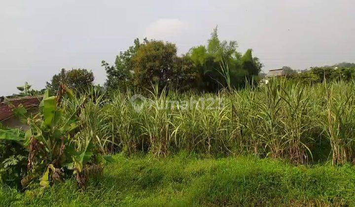 Jual Tanah Datar Di Gunung Sindur Dekat Pasar Prumpung 2