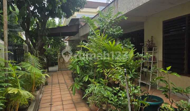 Paling Murahjual Rumah Hitung Tanah di Pluitpermai Harga Murah Sekali