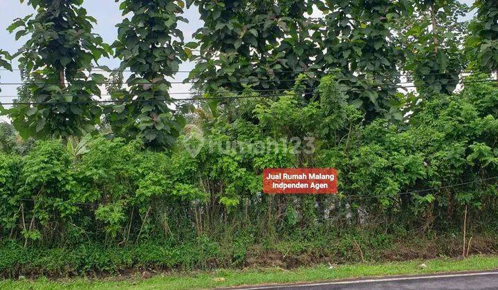 Tanah murah luas poros raya bokor tumpang poros Raya jalur pendakian bromo 2