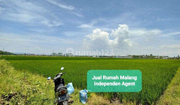 Dijual murah tanah luas di jalan panji kepanjen kab Malang  4