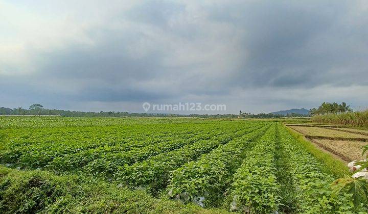 Tanah sawah produktif subur mangku sungai  1