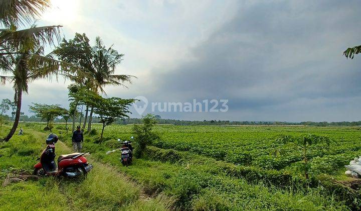 Tanah sawah produktif subur mangku sungai  2