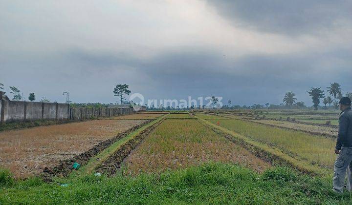 Tanah sawah aktif produktif poros jalan desa 1