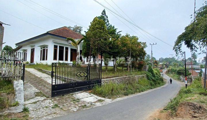 Rumah di Jl. Tulus Ayu Tumpang Kab Malang SHM Bagus Barat Daya 1